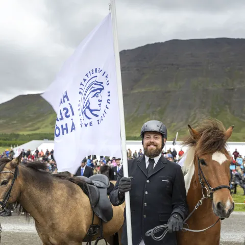 A man on a horse with a flag