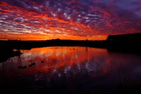 Sunrise in Vatnsmýri