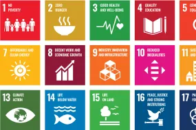United Nations Sustainable Development goals icons