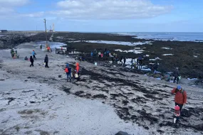 fjöruferð í gróttu