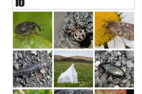 The cover of Surtsey Research 16