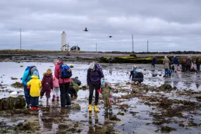 Families exploring on the Grótta beach.