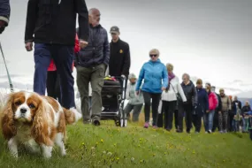Dog in a leash. People in the background