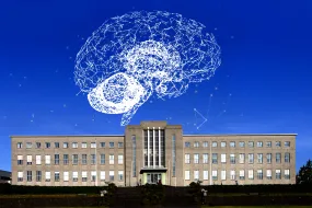 Main building, with drawing of a brain