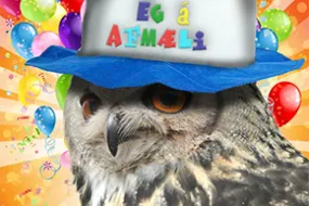 Ugla celebrating birthday