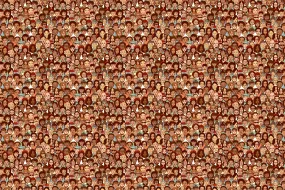 Imagine forum: Youth on the move