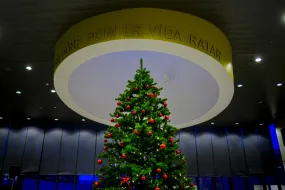 Christmas tree at University centre