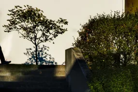 Silhouette of a person walking outside