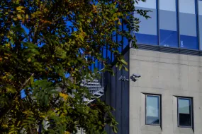 Gimli, and tree in the summertime