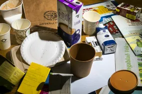 Recycling at University of Iceland