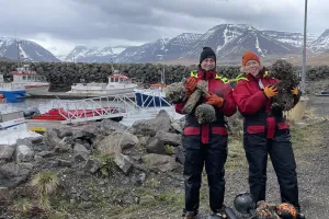 in the west fjords