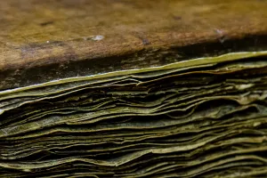 Old manuscript